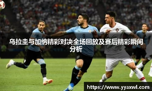 EMC易倍体育